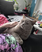 Zdjęcie użytkownika Olixx99