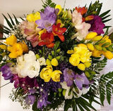 Фотография пользователя zmudamalgorzata400