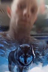 Фотография пользователя stasiorowskijaku28