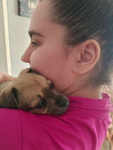 Fotos kingalublin1994