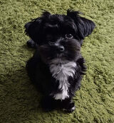 Фото користувача Kamilek1984