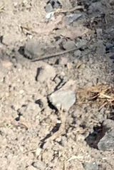 Foto pengguna Lelofive