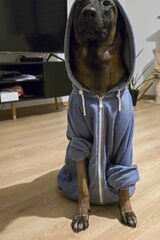 Фото користувача crystian10