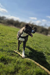 Zdjęcie użytkownika Kwiato989