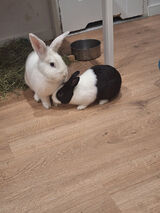 Zdjęcie użytkownika NagornyKa