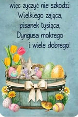 Fotka uživatele D135