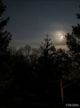 Zdjęcie użytkownika Karol83Buli