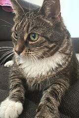 Фотография пользователя Adadasko877