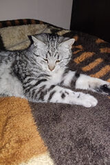 Фото користувача Sergiusz198