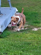 Фотография пользователя andrzej435764