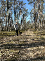 Fotos Shogakewin1993