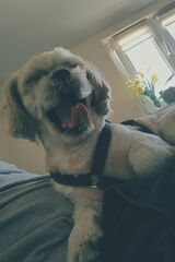 Фото користувача xslangx11