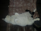 Photos Bragster