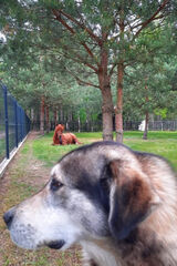 Zdjęcie użytkownika karol777666777