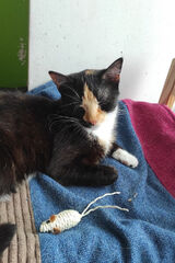 Zdjęcie użytkownika kkrzychu000