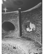 Фотография пользователя Kobieetka