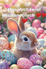 Benutzerfoto anna45krak