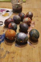 Zdjęcie użytkownika poucin69