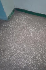 Zdjęcie użytkownikaWww88