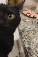 Zdjęcie użytkownika d37945592