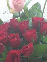 Foto pengguna Domisie