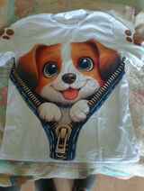 Benutzerfoto jacekbogdanski1980