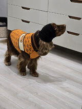 Foto utilizatorului raffehhytf345