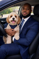 Zdjęcie użytkownika Andrew08742