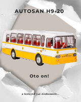 Fotos MirekKoscielecki