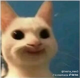 Foto utilizatorului Niewiem5