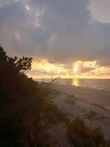 Фотография пользователя fagioli1986