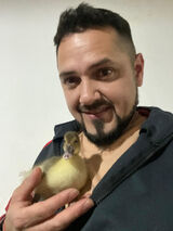 Fotos elvillero2023