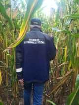 Zdjęcie użytkownika BUNCOL83