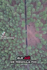 Benutzerfoto malgorzatagucwa51