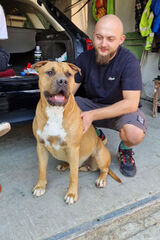 Zdjęcie użytkownika Arczi19999