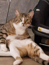 Zdjęcie użytkownika u3137771025