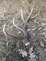 Foto utilizatorului Alanekk98