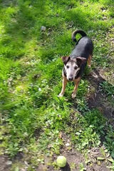 Zdjęcie użytkownika krzysztofkot1992