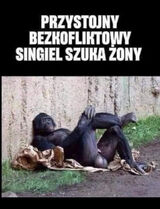 Zdjęcie użytkownika tomekpszonka