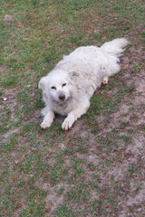 Zdjęcie użytkownika MateuszMateusz04