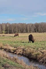 Zdjęcie użytkownika ZwyczajnyPo30