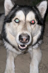 Zdjęcie użytkownika fqzf724n82