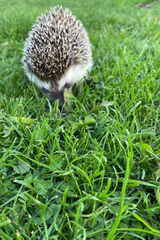 Zdjęcie użytkownika Lux1986