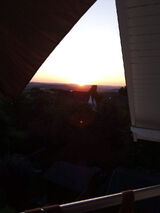 Foto utilizatorului Brauchen31