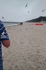 Фотография пользователя pio123xxx