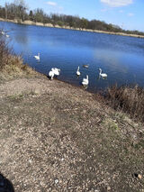 Benutzerfoto adamus17