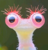 Фото користувача qwe321619