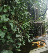 Benutzerfoto Aniaaa1984