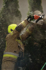 Zdjęcie użytkownika konieczko269