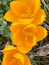 Zdjęcie użytkownika ejcosiegapisz